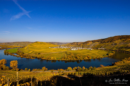 View on Trittenheim at the river Moselle
