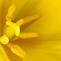 Copy 1_Z9-4187.jpg