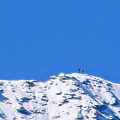 Copy 2_Z9-9525a.jpg