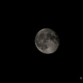 _Z9-9518-Enhanced-NR.jpg