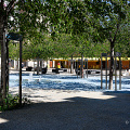 _Z9-1367.jpg