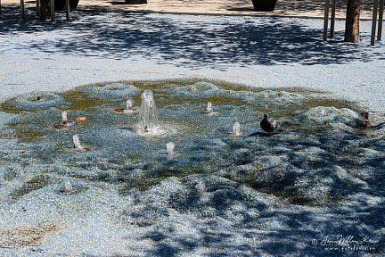 Place des Remparts