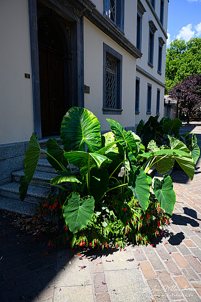 Église Saint-Théodule de Sion