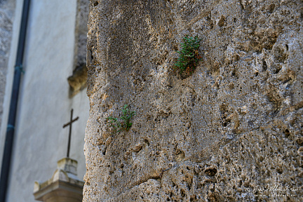 Église Saint-Théodule de Sion