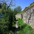 _Z9-9261.jpg