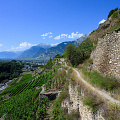 _Z9-9267.jpg
