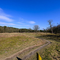 _Z9-0699.jpg