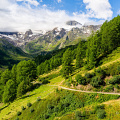 seebertal-valley-mountain-road-meadow-pine-trees_D100-5750.jpg