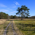 _Z9-0707.jpg