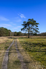 Drenthe