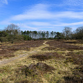 _Z9-0723.jpg