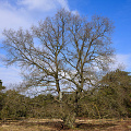_Z9-0731.jpg