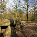 _Z9-0786.jpg