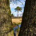 _Z9-0863.jpg