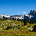 _D800-6194.jpg