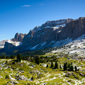 _D800-6271.jpg