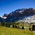 _D800-6321.jpg