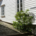 old-stavanger-small-wooden-house-1856-Øvre-strandgate-number-62_Nikon D100-2527.jpg