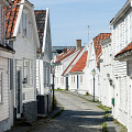 _Nikon D100-2545.jpg