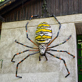 _Z9-9442.jpg