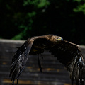 _Z9-2146a.jpg