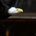 _Z9-2246a.jpg