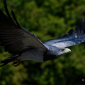 _Z9-2331a.jpg