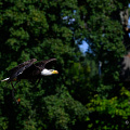 _Z9-2477a.jpg