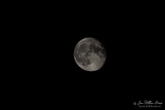  Z9-9518-Enhanced-NR
