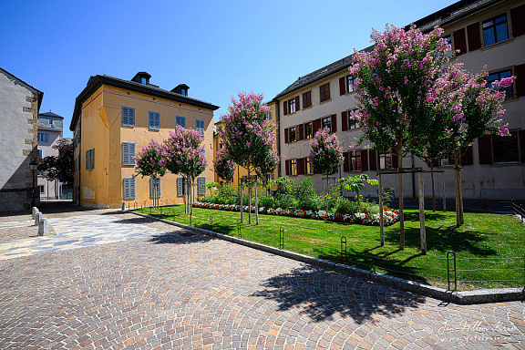 Street scene