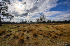  Z9-0841-HDR-2