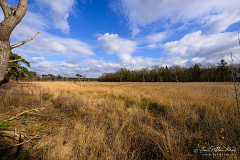  Z9-0900